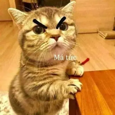 Tổng hợp 30+ meme dỗi đáng yêu và hài hước nhất dành cho bạn