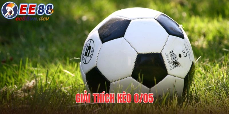 Khái niệm kèo 0/05