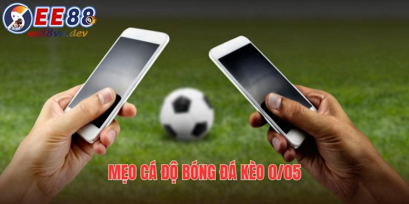 Mẹo hay cá độ chơi cược 0/05