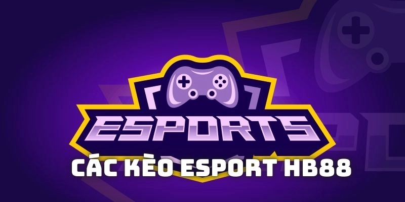 Một số loại kèo cược tại Esports HB88 phổ biến hiện nay