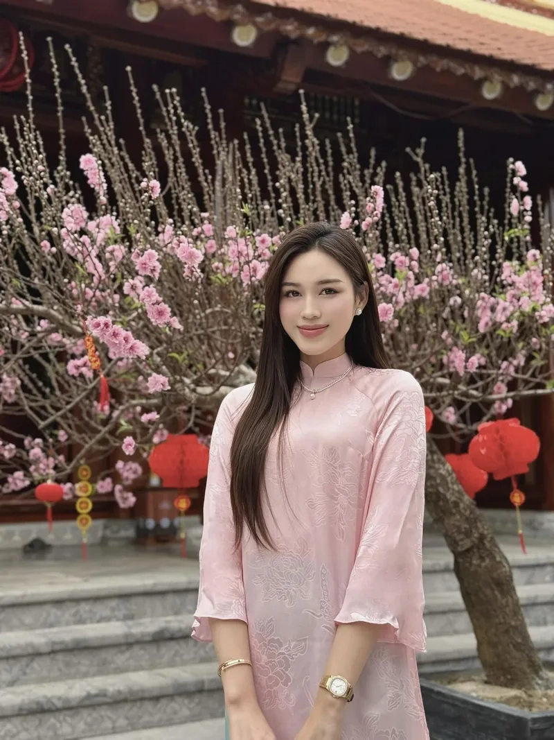 Thông tin về Hoa hậu Đỗ Thị Hà nhan sắc và tài năng