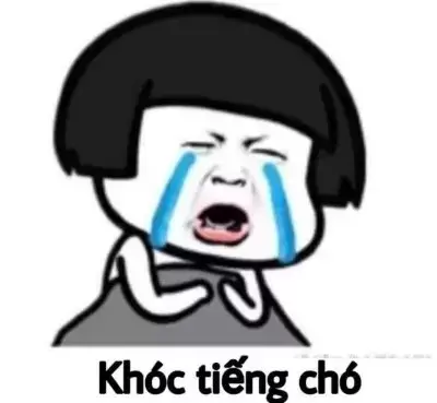 Tổng hợp 30+ meme khóc hài hước và dễ thương nhất dành cho bạn