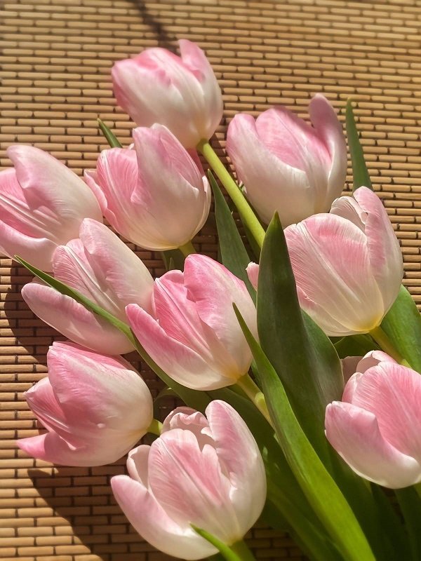 Hình ảnh bó hoa Tulip hồng 3