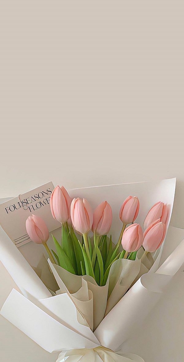 Hình ảnh bó hoa Tulip hồng 5