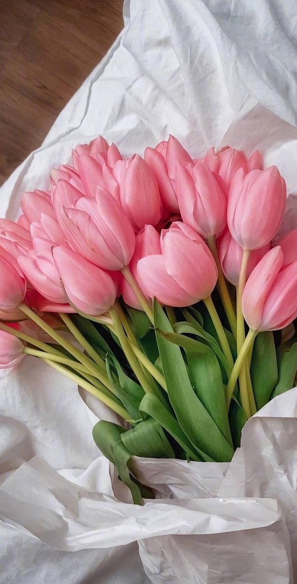 Hình ảnh bó hoa Tulip hồng 6