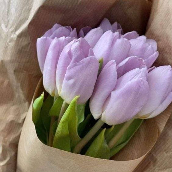 Hình ảnh bó hoa Tulip tím đẹp nhất 5