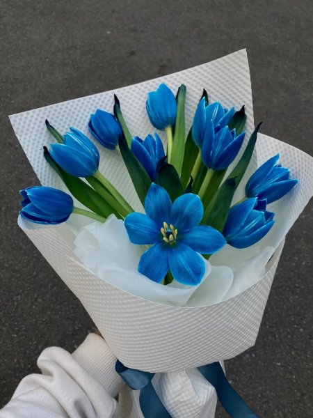 Hình ảnh hoa Tulip xanh đẹp nhất làm hình nền, ảnh bìa 4