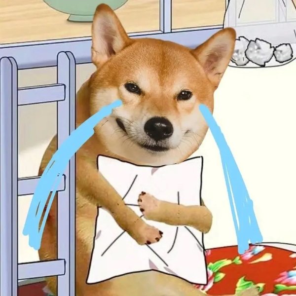 Meme chó shiba khóc 7