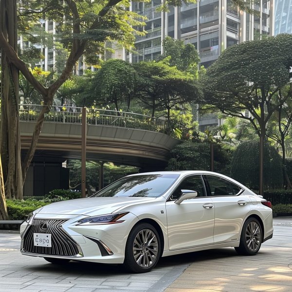 Lexus ES 250 20