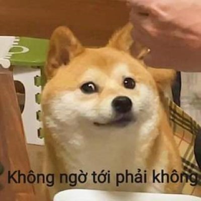 Meme bất ngờ chưa 4