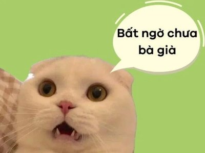 Meme bất ngờ chưa bà già 2