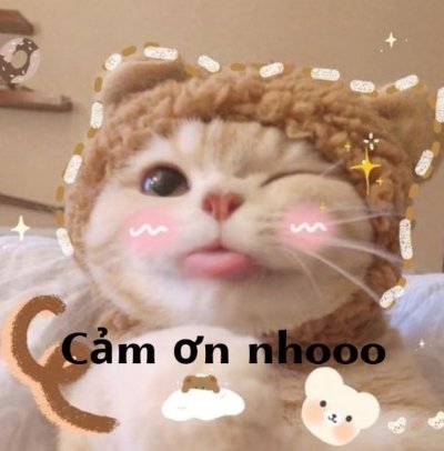 Meme cảm ơn cute 10