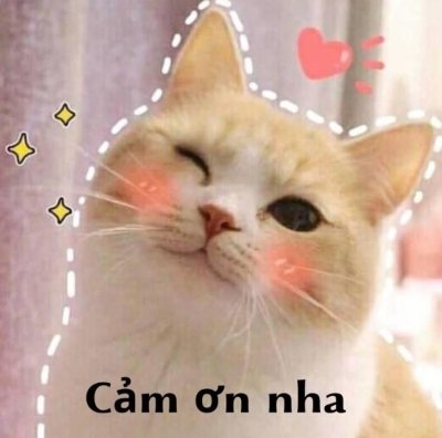 Meme cảm ơn cute 9