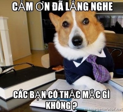 Meme cảm ơn thuyết trình 3