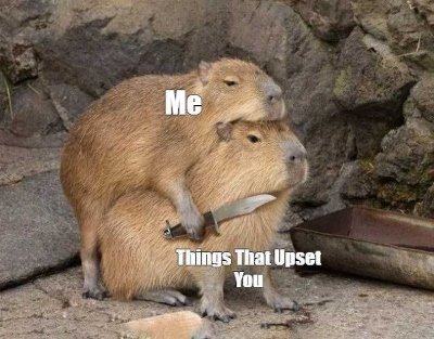 Meme capybara 2