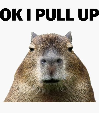 Meme capybara 3