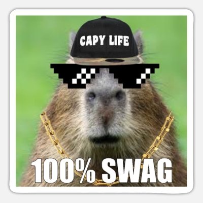 Meme capybara 5