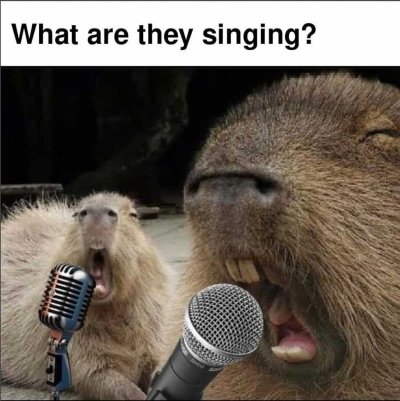 Meme capybara 9