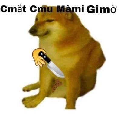 Meme cheems Việt Nam 9