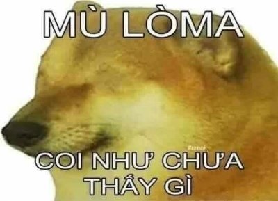 Meme cheems Việt Nam 2