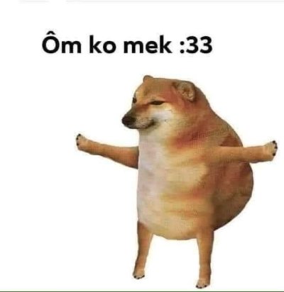 Meme cheems Việt Nam 5