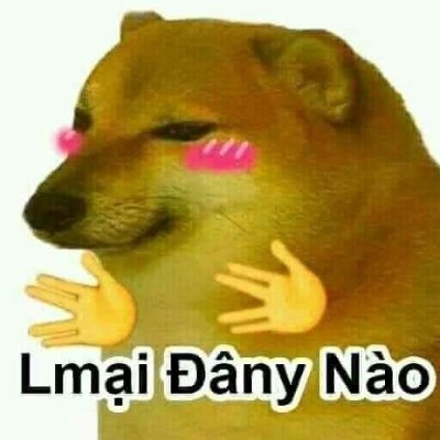 Meme cheems Việt Nam 8