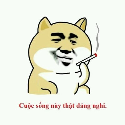 Meme cười khinh 1