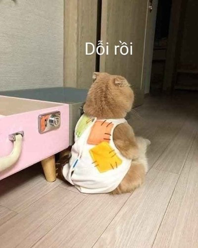 Meme dỗi cute 1