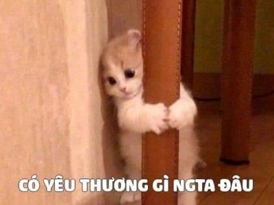 Meme tình yêu cute 8