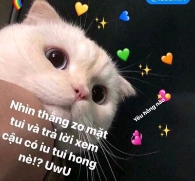 Meme tình yêu cute 9