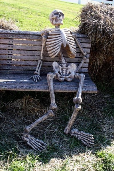 Meme waiting skeleton 5