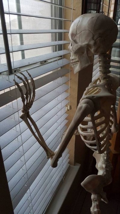 Meme waiting skeleton 8