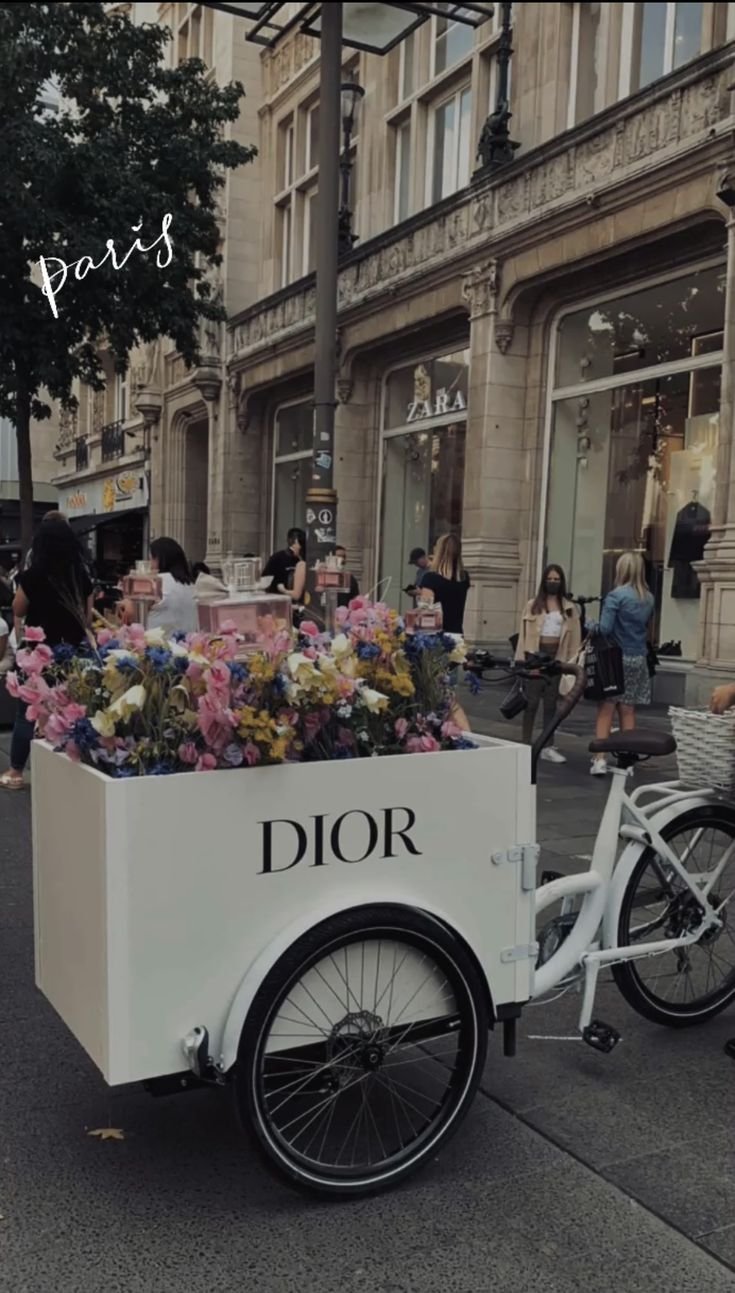 ảnh Dior 2