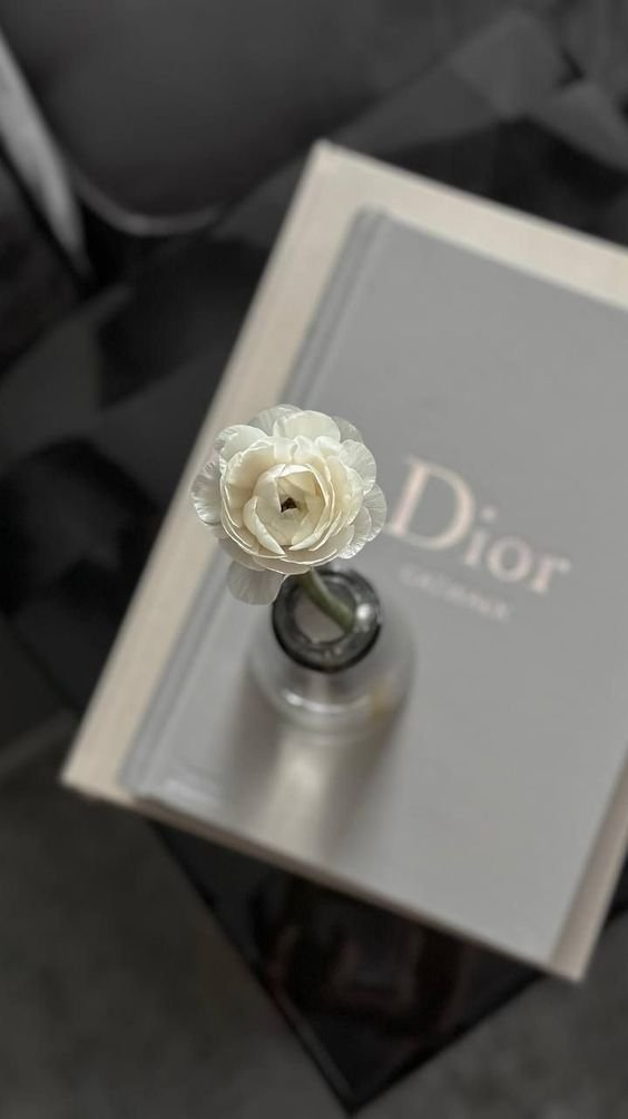 ảnh Dior 5