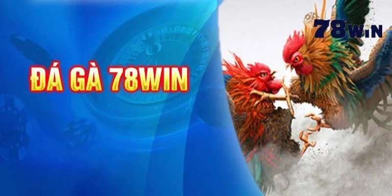 Tại sao chọn đá gà trực tuyến tại 78Win?